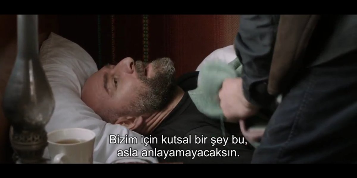 bluewindymind's tweet photo. Mandalina Bahçesi.
#Tangerines https://t.co/l9uD6HWQIe