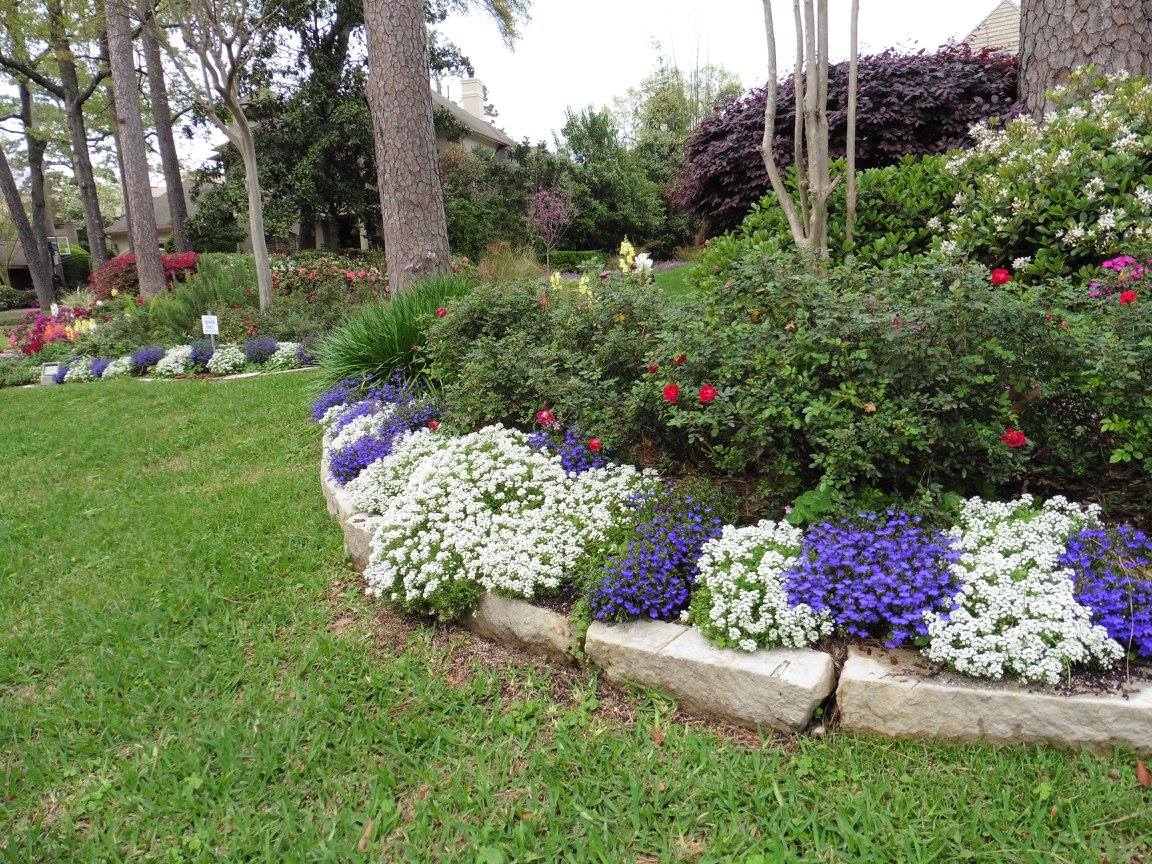 sterling_design's tweet photo. #Houston #HoustonLandscapeDesign #LandscapeDesign #HoustonLandscaper #DesignYourPartOfTheWorld #SterlingLandscapeDesigns #Flowers #Plants #SterlingDesigns https://t.co/mjUP1v3Rfs