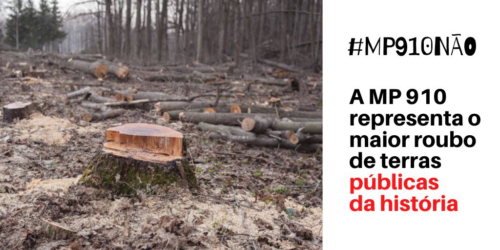 Ilona Szabó 🇧🇷 tweet media