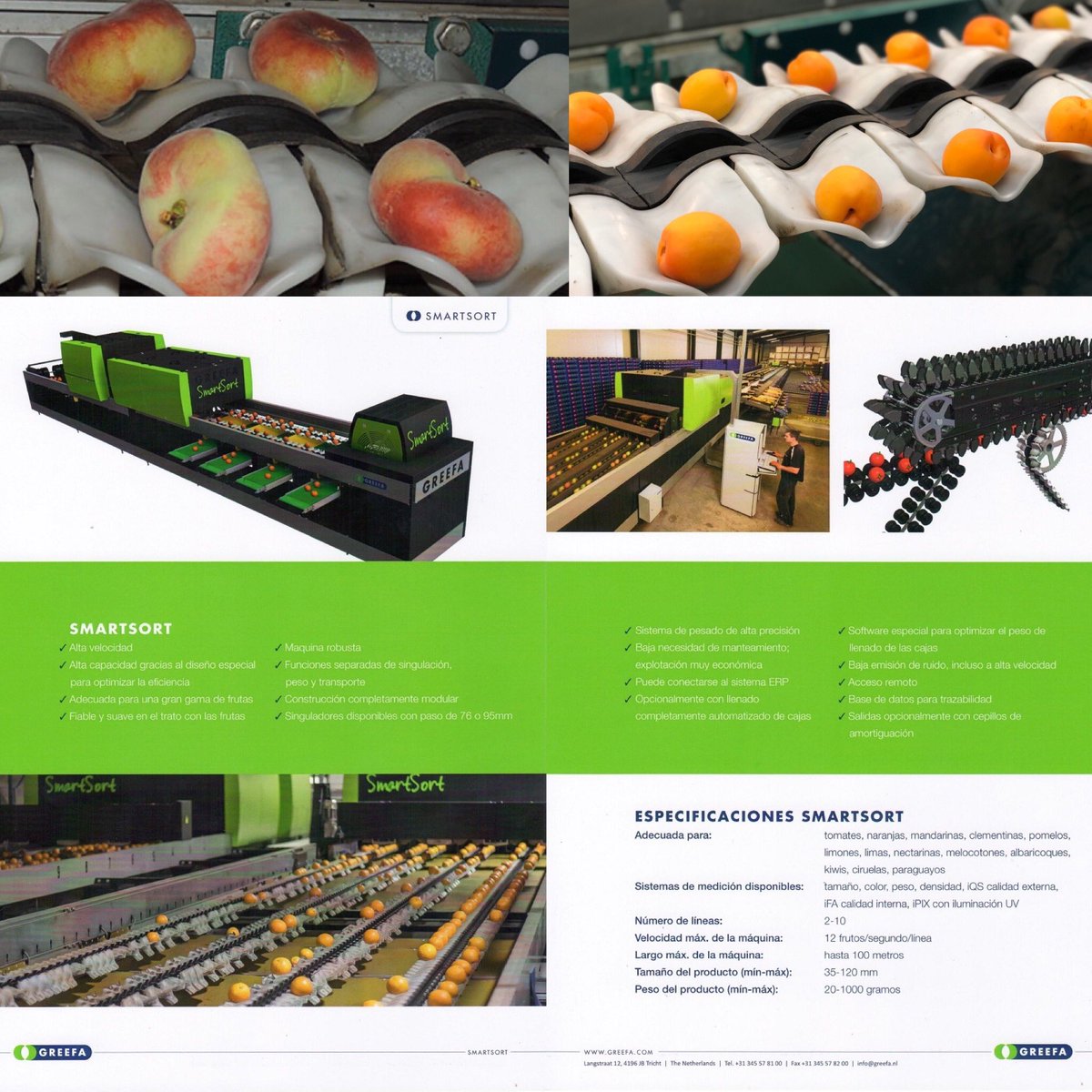 Ciagri_Greefa's tweet image. SmartSort. Calibrador alta producción con los últimos sistemas de calibrado. Máquina modular, materiales primera calidad y recambios 100% Greefa. 
Especialistas en detección de calidad externa de frutos. 
#smartsort #frutas #verduras #citricos #iqsperformanceplus #qualitygreefa