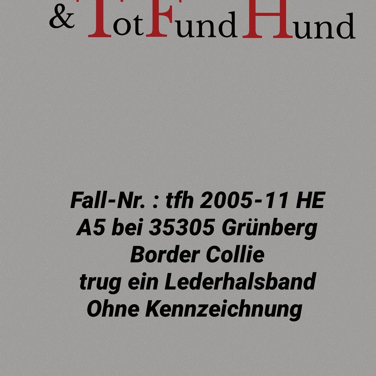 TierhilfeT's tweet photo. https://t.co/CGZyic4fGp https://t.co/exlWHfHc6N