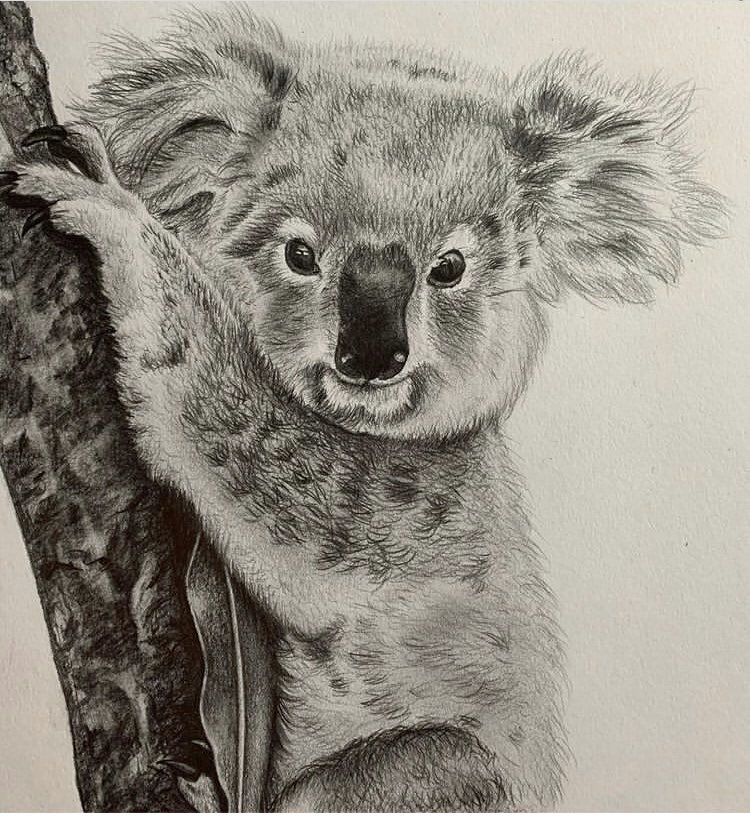 cest_services's tweet photo. Today we’ve been engaging in some therapeutic illustration, enjoying for ourselves the therapeutic qualities of art #pencil #illustration #koala #arttherapy #therapeutic #selfcare #art #selfsooth #covid19 #covid #therapy #creative #self #childrensmentalhealth #thanksboris  # https://t.co/WceJQPcX77