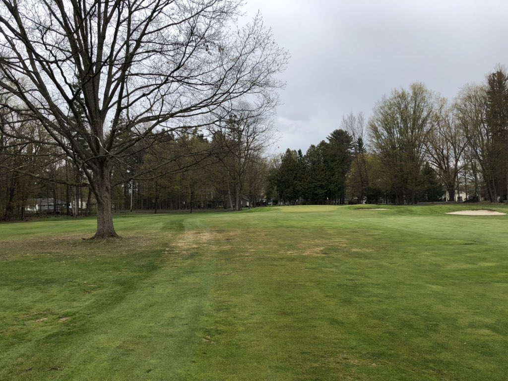 EanDaniels's tweet photo. Trees will always win the moisture battle. The damage from these tree roots extends almost out to the center line of the fairway. Greens committee will have to decide... healthy fairway or tree. https://t.co/5XVGOGU1os