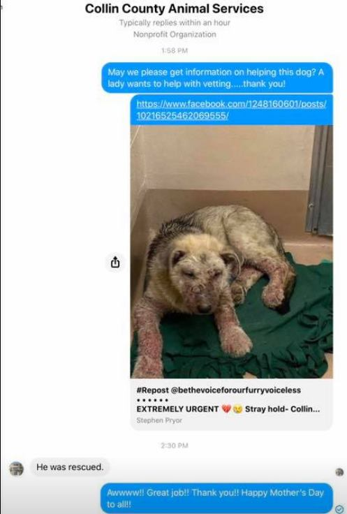 PJmiekidzandi's tweet photo. @JayneMarie007 🥰💗UPDATE 5-10-2020: This little pup ID #844341 has been #RESUED as of 5-10-2020 per Marybeth Lowry speaking w/Collins County Shelter Georgia!😂😇
(see pic below) https://t.co/mQ1iy8VvbJ