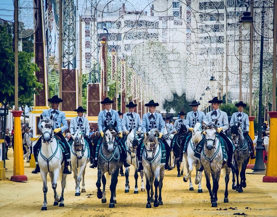 RealEscuela's tweet photo. 🎡 Hoy lunes, nuestros Pura Raza deberían estar pisando el albero del González Hontoria, lugar donde se celebra cada año la Feria del Caballo de #Jerez.

🐴 La recordamos con esta foto, en la que alumnos de la REAAE acompañan al jinete José Molina.

📸 Gonzalo Marques https://t.co/MSfMeguQSN