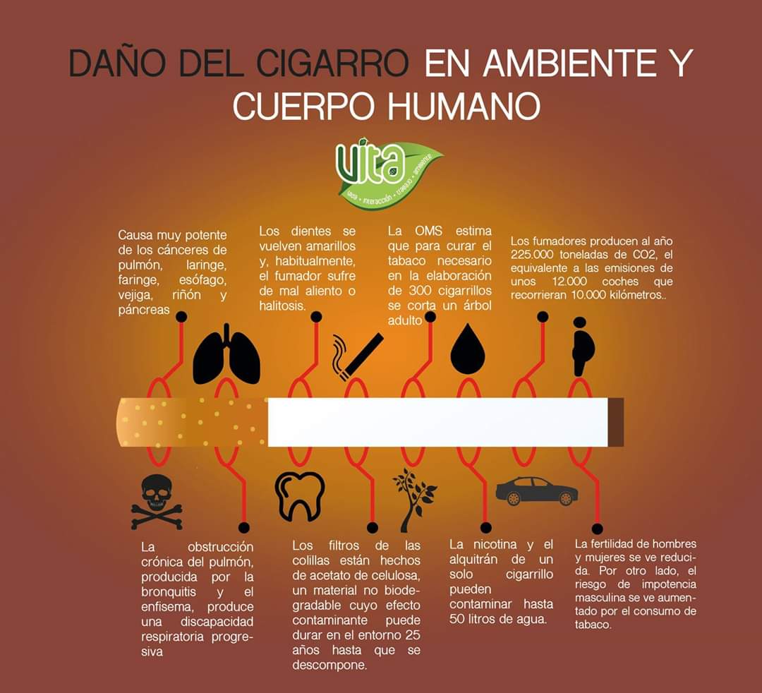 VITA_ONG's tweet photo. ¿Conoces los daños que produce el tabaco?

Las afectaciones son múltiples ya sean para el cuerpo humano o para el ambiente. https://t.co/m6c4lJs04n