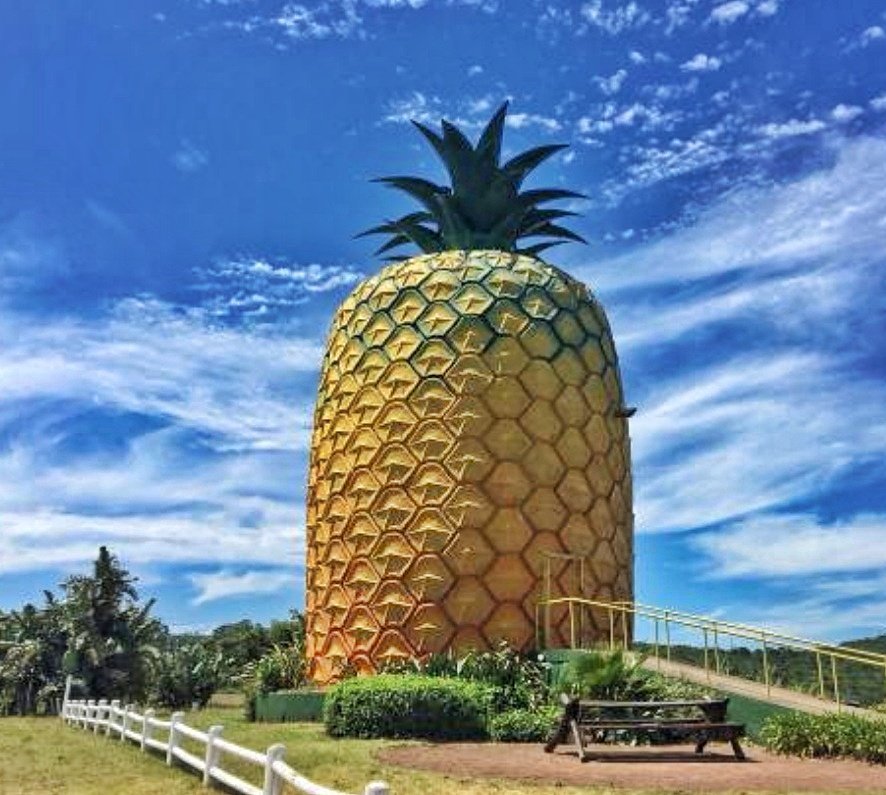 Dineo_Zonke's tweet photo. 4 Unusual places to visit in South Africa:

1. Gnome Cottage, Free State.
2. The Big Baobab, Limpopo.
3. The Shoe House, Mpumalanga.
4. The Big Pineapple, Eastern Cape.

Have you been to any of these? Feel free to add to the list.

#WeWillTravelAgain
#TravelSouthAfrica https://t.co/5CGfpv3rff