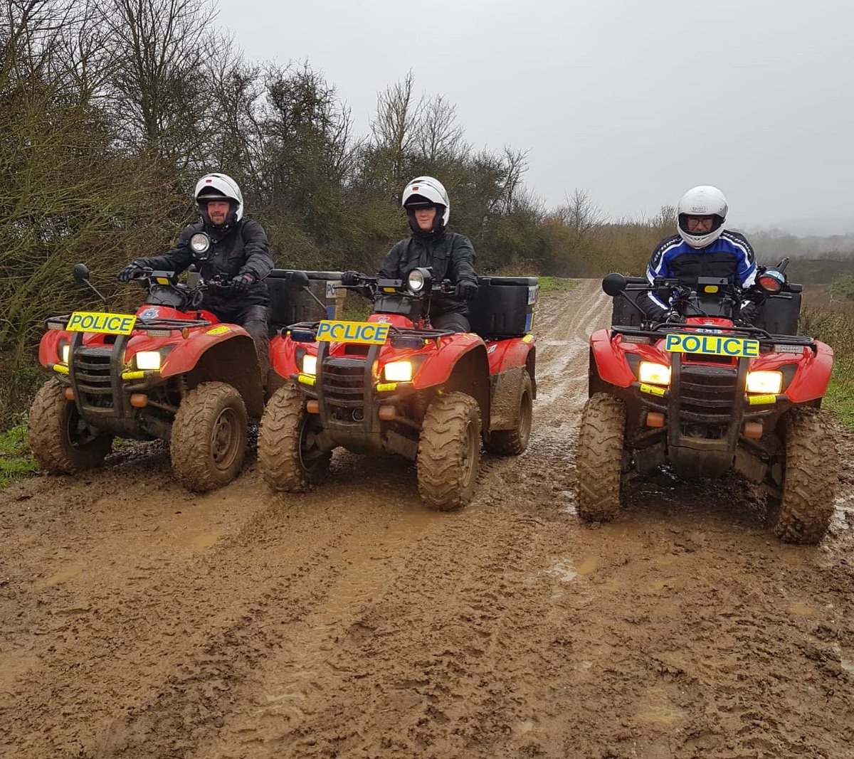 Explore 4x4 tweet media