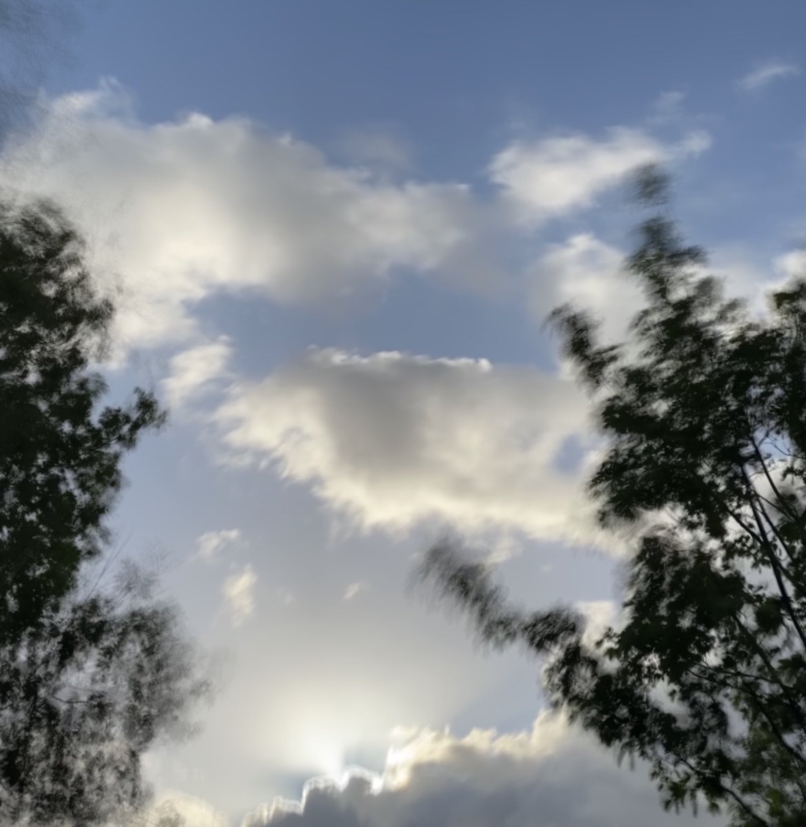 Ha! Na al die blauwe luchten! Ze zijn er nog gelukkig; de wolken. Mooi!