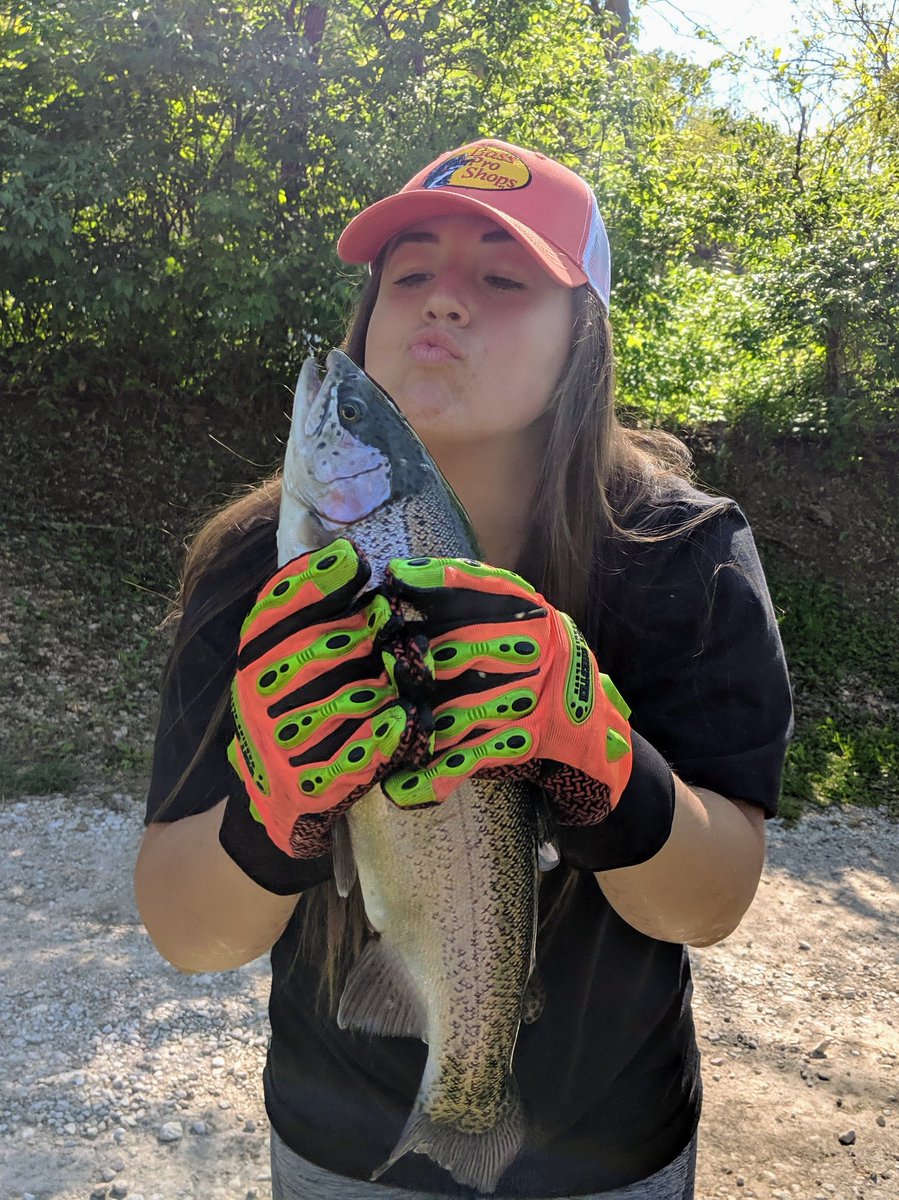 Crys Fitz tweet media