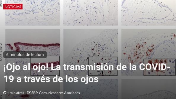 SoloBuen's tweet photo. 🧐El importante descubrimiento científico hongkonés sobre el papel de los ojos en la transmisión de la COVID-19

Te lo contamos aquí 👇
https://t.co/Kk5hoEPTdh

#COVID19 #COVIDー19 #InformarSinAlarmar #SoloBuenPeriodismo #periodismovivo #periodismo #SBP_CA #DatosCoronavirus https://t.co/1b9fSfTbLD