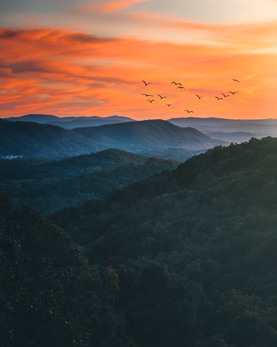 Asheville, NC Sunsets..
 #rsa_outdoors #bns_earth #landscapelover #roamearth #wanderout #goneoutdoors #asheville #visitasheville #romanticasheville #outaboutnc #beastframez #imaginatones #visualgrams #outdoortones #landscapehunter #adventurethatislife #visualsofearth