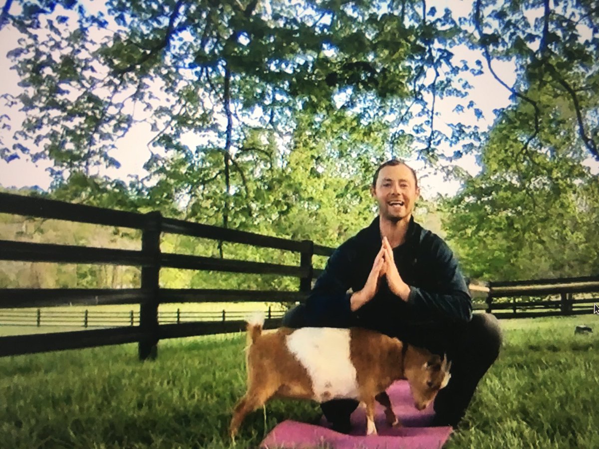 ChanceyPhysEd's tweet photo. Join Mr. Oldham and his animal friends for some #MindfulMonday Yoga! Practice deep breathing and flexibility with me here! https://t.co/82I2Un8aGP @ChanceyChat #PhysEd #HealthyAtHome  #peteacher #JCPSSuperStrong @kyahperd https://t.co/2i6EbSVBUZ