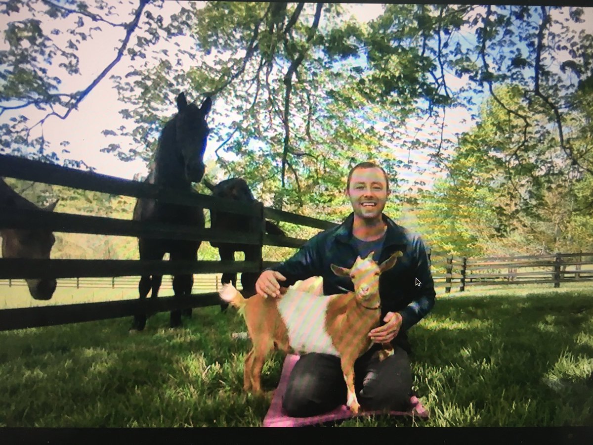 ChanceyPhysEd's tweet photo. Join Mr. Oldham and his animal friends for some #MindfulMonday Yoga! Practice deep breathing and flexibility with me here! https://t.co/82I2Un8aGP @ChanceyChat #PhysEd #HealthyAtHome  #peteacher #JCPSSuperStrong @kyahperd https://t.co/2i6EbSVBUZ