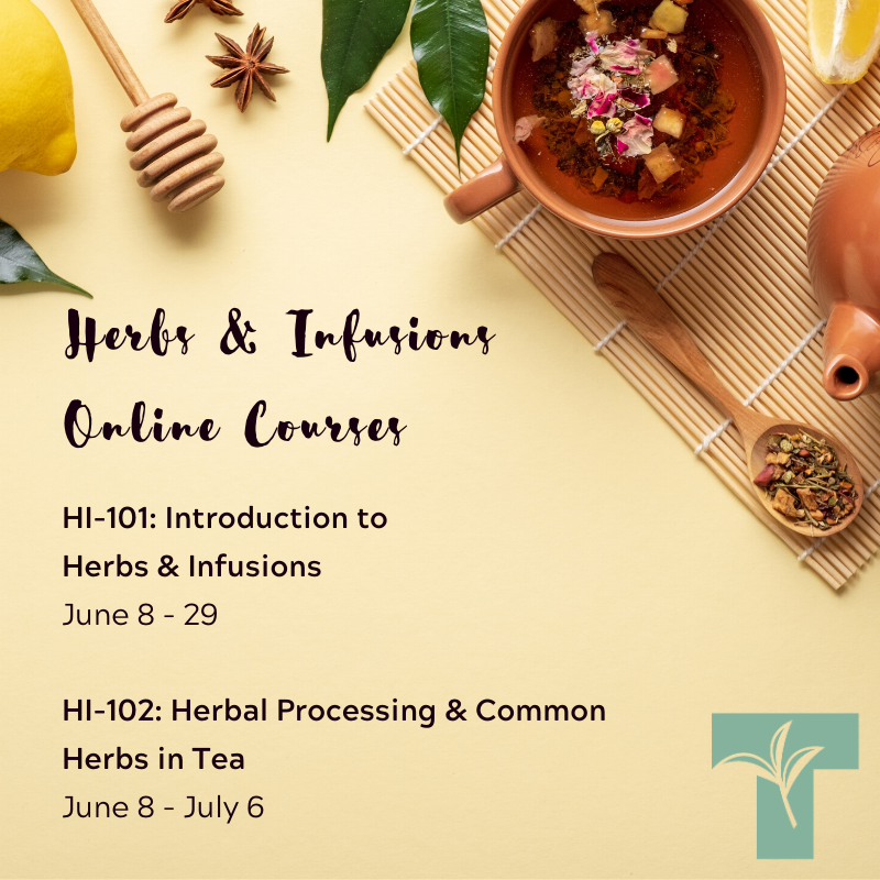 A garden in your cup... that's what a cup of herbal tea is. Join us this June for our Herbs &amp; Infusions online courses. #BrewCrew #TeaMakesEverythingBetter buff.ly/2GuglsA