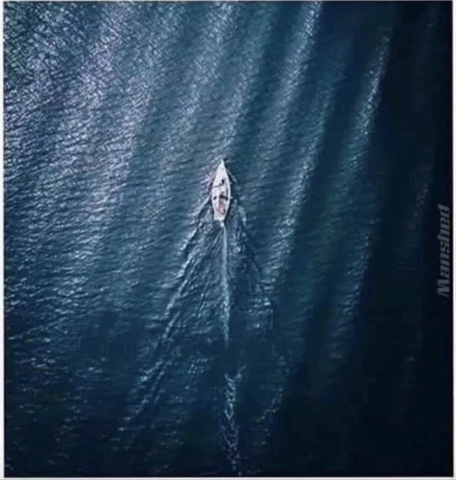 You know you need to get out onto the water when you see a boat sailing across the ocean, but it’s actually a tear on your leather sofa. 
 🤣⚓⚓ #boatinglife #boating #bluemind #waterismedicine