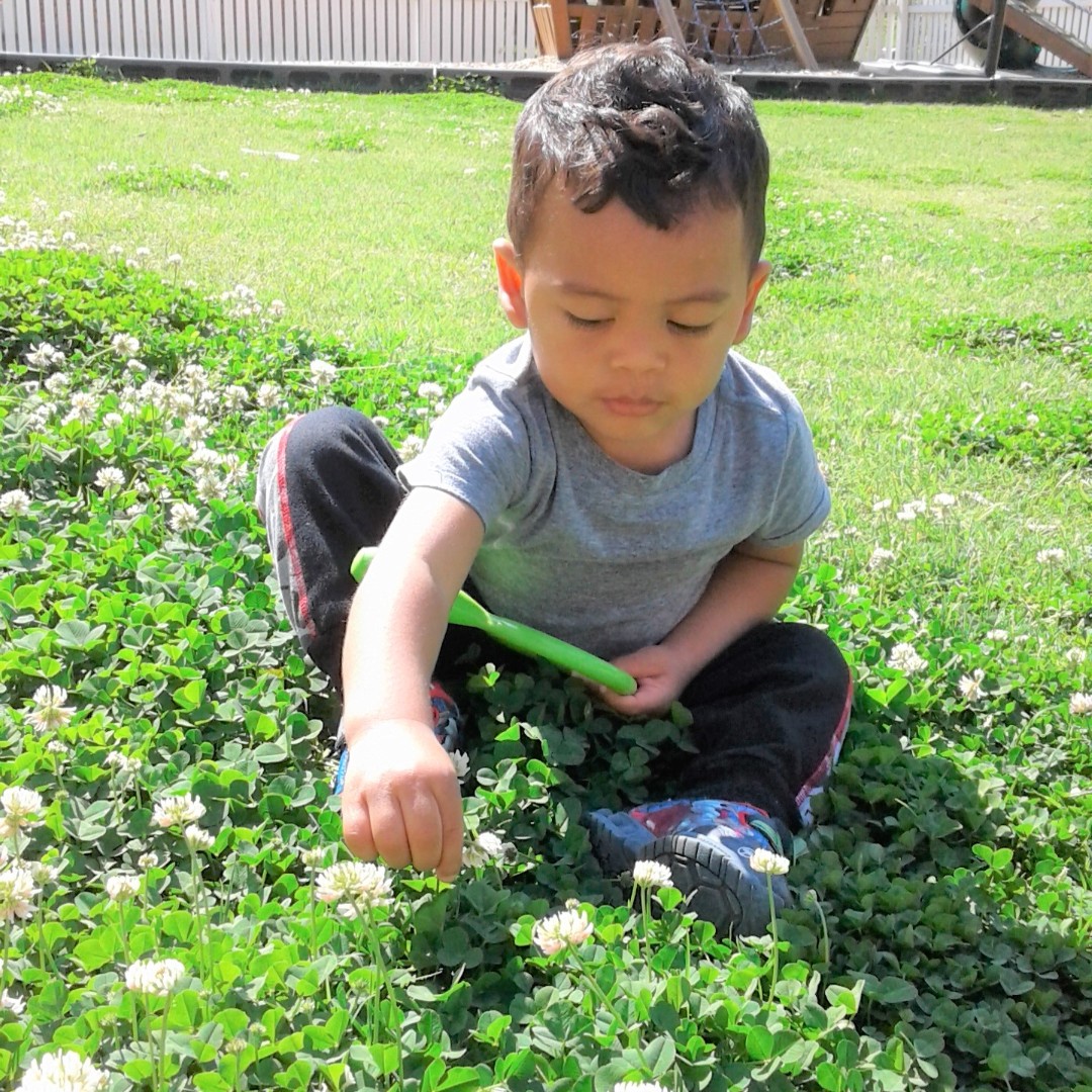 Spanish4Fun's tweet photo. TRIANGLE EXPLORERS | Our Mariquitas can't get enough of their nature exploring. Touch, lift, look under! You'll find a different world!
.
.
.
.
.
.
.
.
.
.
.
.
#raleigh #cary #wakeforest #nature #spanish #education #teachers #monday https://t.co/XB4XlvK1UO