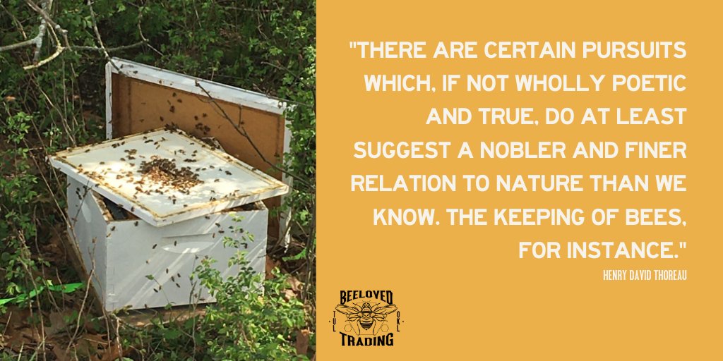 BeeLovedTrading's tweet photo. Beautiful quote. https://t.co/JvK1qXVuoT