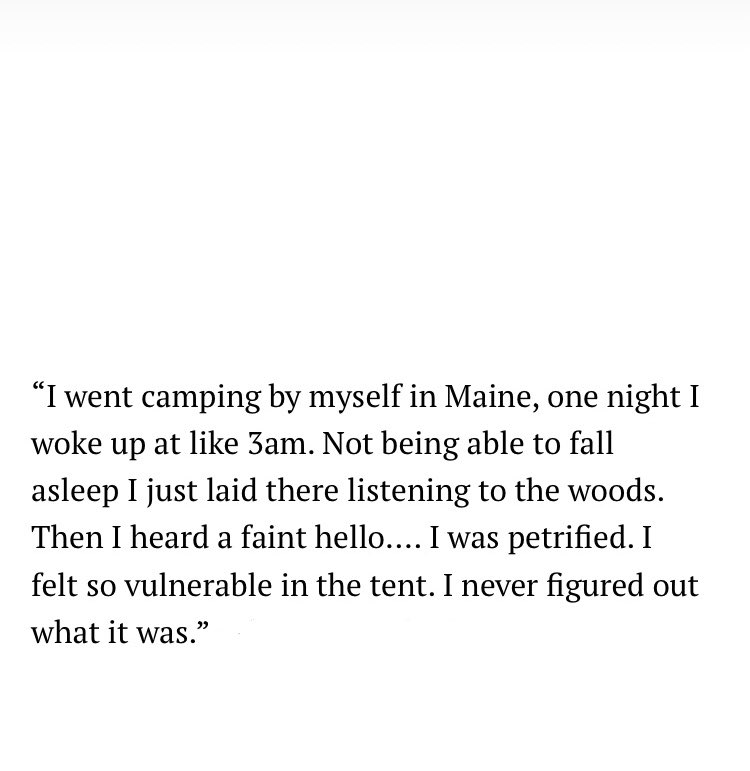 Wyatt Shears (@oldhauntedhorse) on Twitter photo 