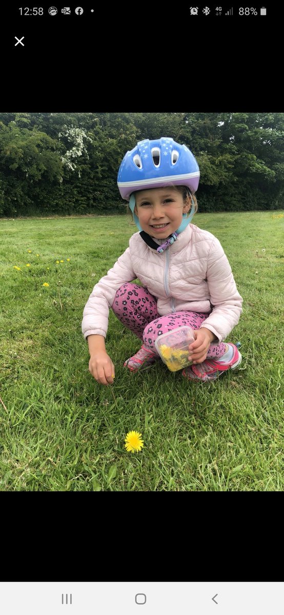 UptonWestleasch's tweet photo. #WestleaForestSchool activity on a Monday for #WestleaHomeLearning in Year 1! Dandelion cookies, yum yum! 🍪 #WestleaWillowY1 https://t.co/V9xh2wKhz4