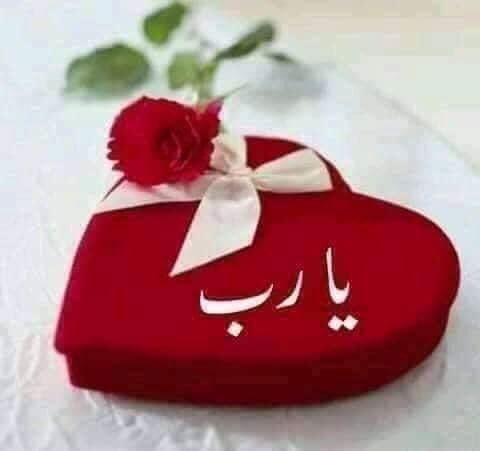 👈🏻ضع أمرك في ودائع الله 👉🏻
وقل ياربّ سلمتك أمري وكل ما أملك  
الله وحدهُ من يقدر على تخفيف حِملك  
وحده من سيُصلح لك أمرك 
وييسّر ما تراه مستحيل ❗️❗️❗️❗️💢

#المحابر_الذهبية_للدعم 
#كروب_الزهور_للدعم 
#كروب_المنتظر_عج_للدعم
#كروب_الضمير_الحسيني_للدعم
#كروب_فدك_الولائي_للدعم