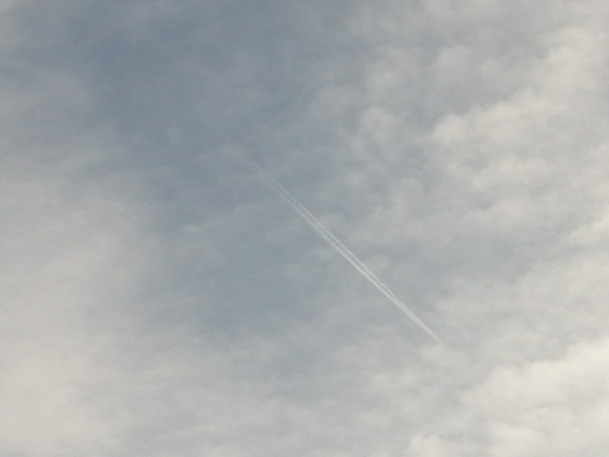 Angine5's tweet image. #HAARP #chemtrails Serratia marcescens - inflammation of the lungs, inflammation of the brain, inflammation of the heart muscle Mycoplasma fermentans incognitus, a type of pathogenic microorganism that is thought to have been #bioengineered in #US military laboratories..