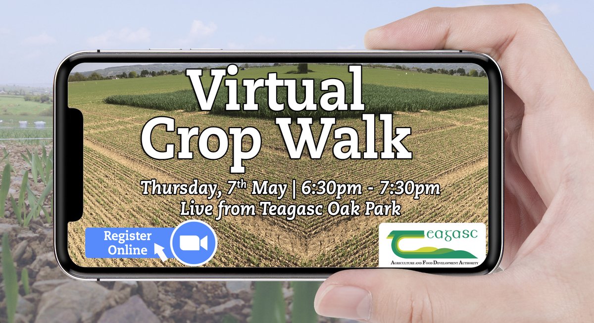 If you missed Thursday's Virtual Crop Walk which was hosted by the <a href="/TeagascCrops/">Teagasc Tillage Team</a> team live from Oak Park, Carlow you can view the webinar online here bit.ly/3fEzet1 or on the Teagasc Crops YouTube channel here bit.ly/2WllcVy