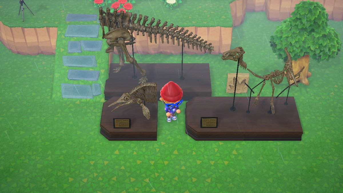 NickPM75's tweet photo. I've been getting so many duplicate fossils. Besides of selling, I'm giving them to who needs! DM me! #ACNH #AnimalCrossing https://t.co/ySg4AqJOne