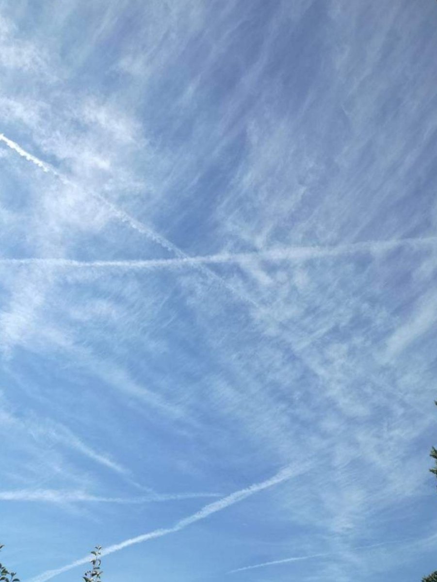 Angine5's tweet image. .. #HAARP #chemtrails and found in 45% of #US soldiers suffering from the so-called  golf syndrome. Streptomyces and other types of fungi Certain bacteria that contain specific enzymes that are able to modify the human genome