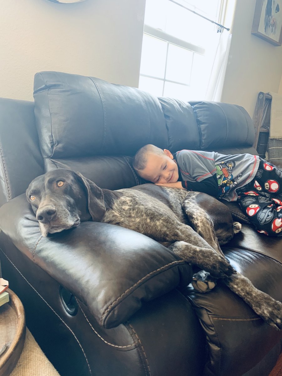 Everett took a break from remote learning to share a pic for <a href="/district51/">Raja Kroto 💎</a> Spirit Week! He loves his dog-sister, Piper! #WeAreD51 #KeepItPositive x.com/district51/sta…