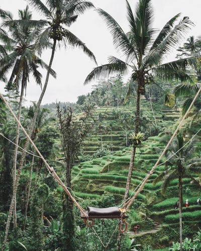 TierOneTrvl's tweet photo. BUCKET LIST PLACE: Bali, Indonesia. Volcanoes, beaches, temples and jungles are just some of the amazing things you will see in Bali. Once it's safe to travel again, your Tier One Specialist can take you there. #tieronetravel #travel #bali https://t.co/27dIxrHx0k