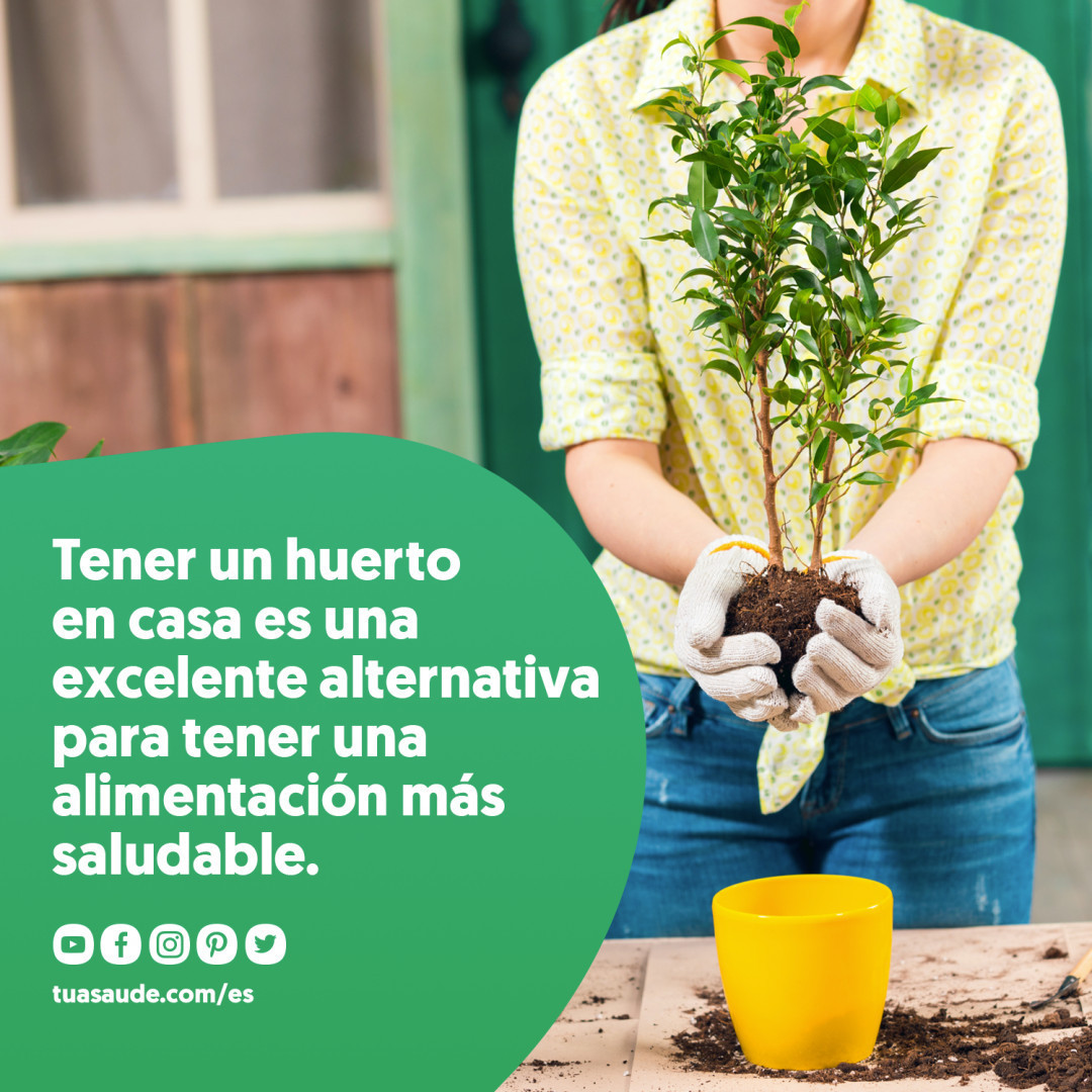 TuaSaudeES's tweet photo. Sin pesticidas, más natural y más ecológico. 🍅🥕🥔

 #alimentación #cu... https://t.co/MWGFAHwFl9 https://t.co/iZzlgZj3hX