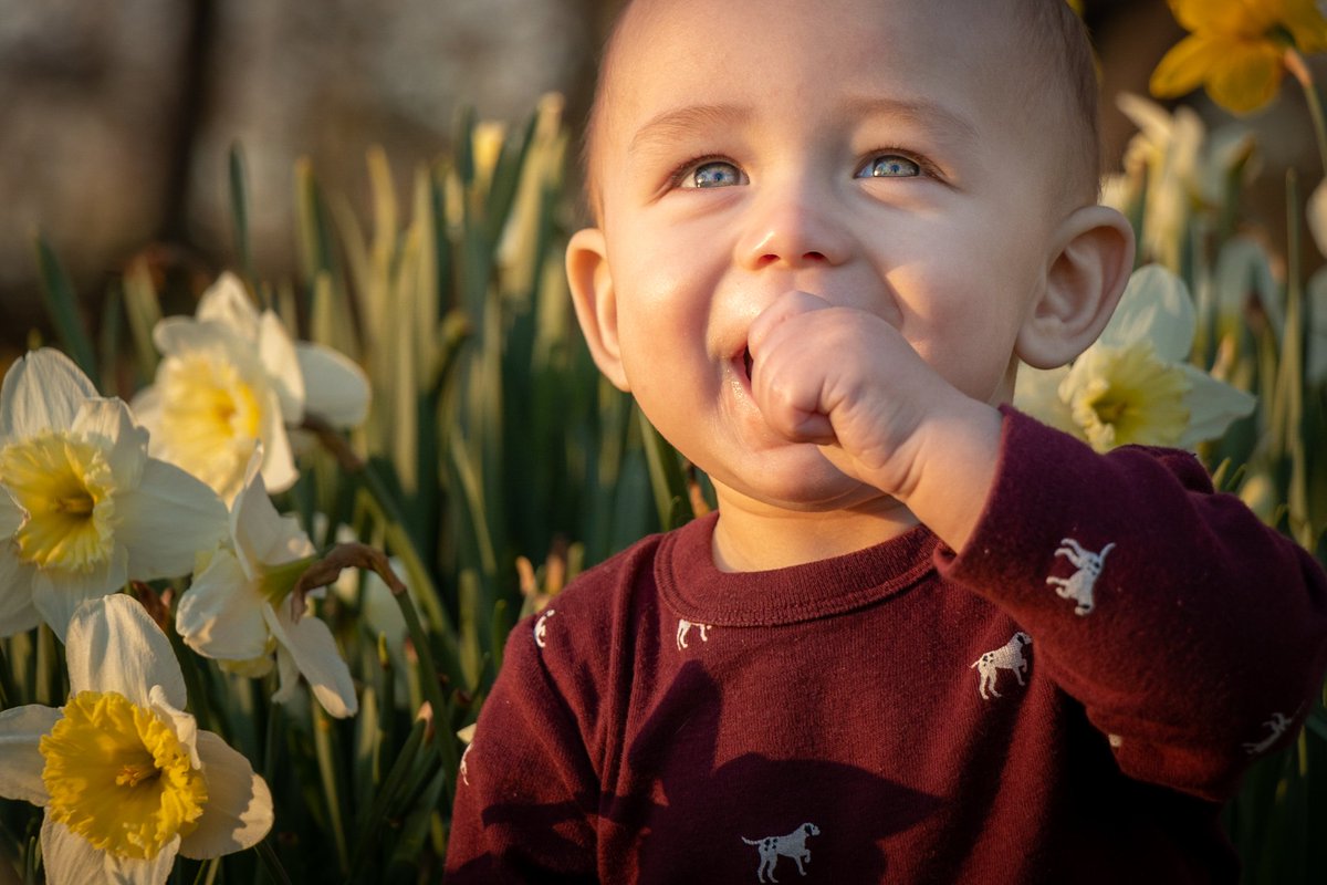 omgitsderek's tweet image. Hi, I&apos;m OMGItsDerek!

I like to play video games on the internet, take pictures, and make videos!

You can find me here:

🌐 OMGItsDerek.com
🎮 OMGItsDerek.TV
🎥 YouTube.com/OMGItsDerek
📸 Instagram.com/omg_its_derek
🗨️ Discord.gg/H4cAXX5