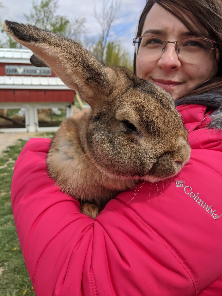 roofandskillet's tweet photo. New members of our hobby farm! https://t.co/PCKaYLBV3S