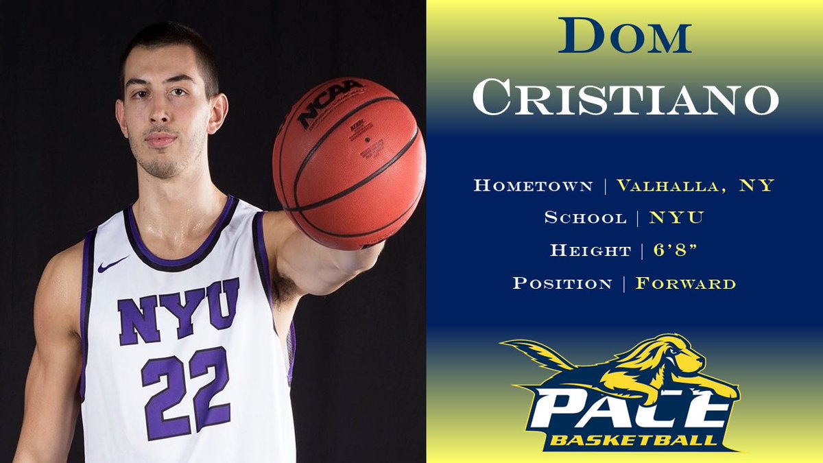 PaceMBB's tweet photo. Excited to begin announcing our newest Setters! 

First, we would like to welcome Graduate Transfer Dom Cristiano to the Pace Basketball family! https://t.co/6hLy9PRFnN