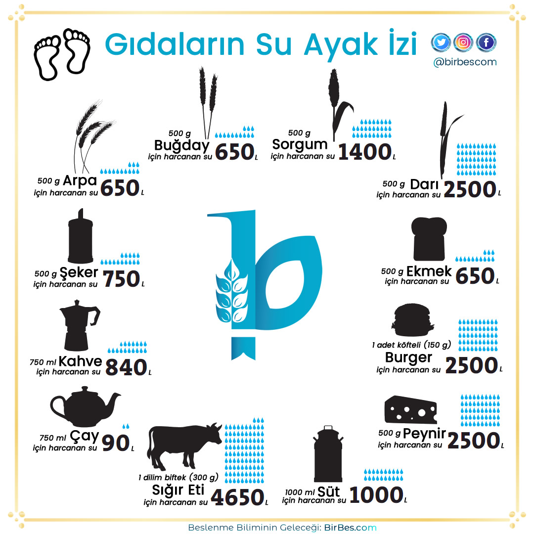 👣Su Ayak İzi Nedir? Gıdalardaki Miktarı Ne Kadardır? 💦
#suayakizi #waterfoodprint #su #water #waterworldday #22martdünyasugünü #deprem #beslenme #sağlık #gıda #besin #buğday #diyet #diyetisyen #beslenmevediyetetik #sağlıklıbeslenme #birbes #birbescom
birbes.com/su-ayak-izi-ne…