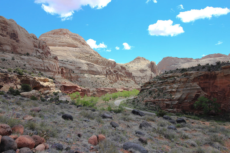 This national park got its name because of the rock formations of the Waterpocket Fold that look like the domes of capitol buildings, and the fact that it acted as a barrier to travel (a reef).