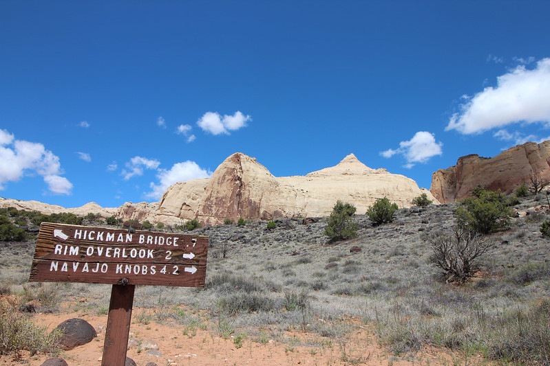 After a stop at the visitor center to get a stamp and info,  @srepetsk and I set off for the Rim Trail, for a strenuous hike up to Rim Overlook. It's 2.3 miles in (and another 2.3 miles back), with an elevation gain of 1,110 feet. It was so worth it.