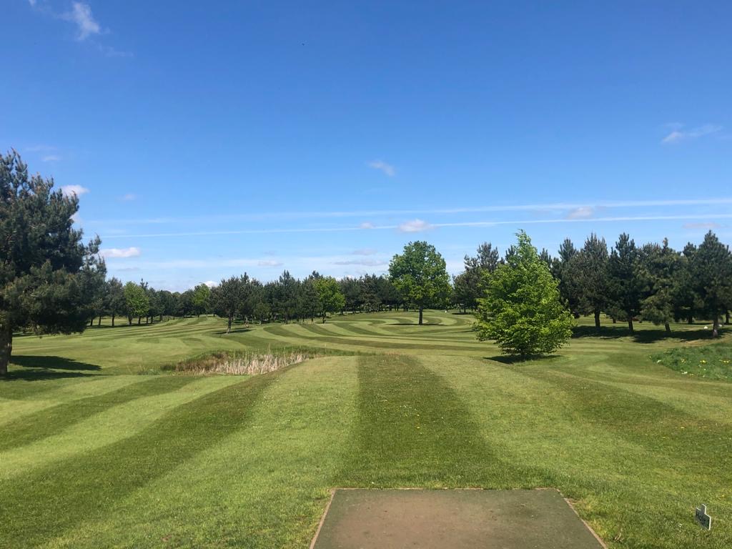 Ledene Golf tweet media