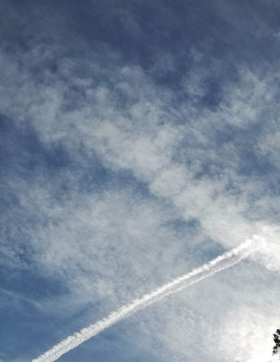 Angine5's tweet image. ... #HAARP #chemtrails.. damages the heart, liver and kidneys; it seems to be the cause of a characteristic cough ("chemitrails cough") that occurs in people after dusting.:Contains - Dehydrated human red and white blood cells (erythrocytes and leukocytes)