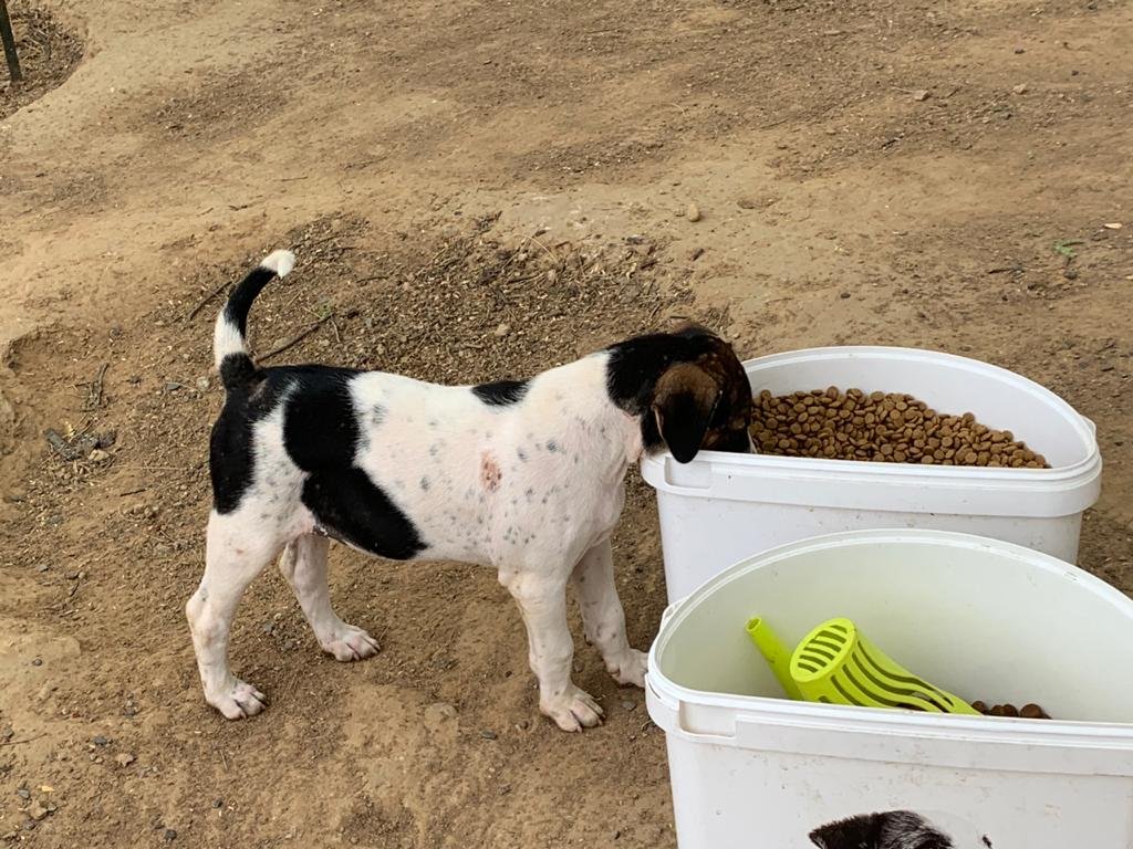 Mohit Chauhan tweet media