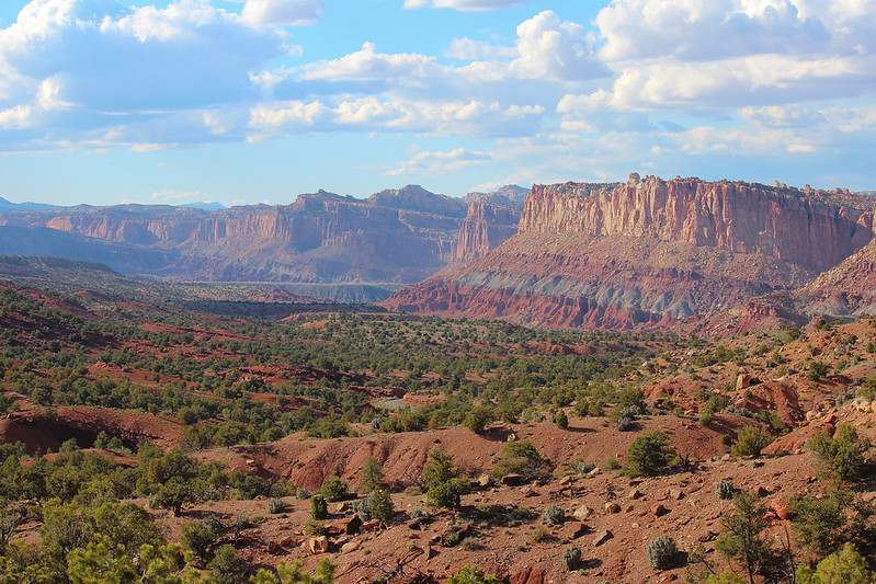 We also took a drive down the *very* aptly named "Scenic Drive" toward the area south of the visitor center.