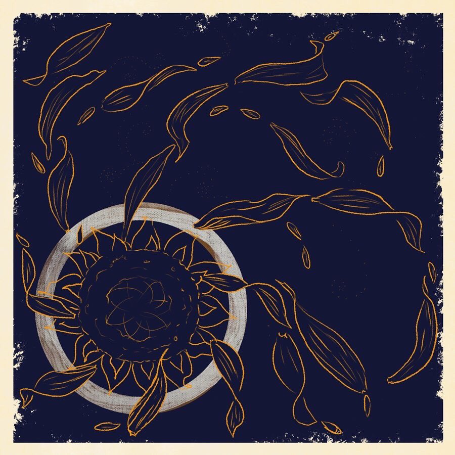 🌙T.J.WO⭐ tweet media