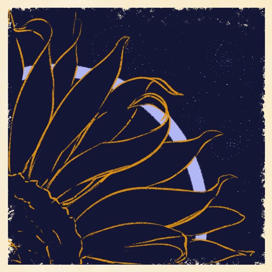 🌙T.J.WO⭐ tweet media