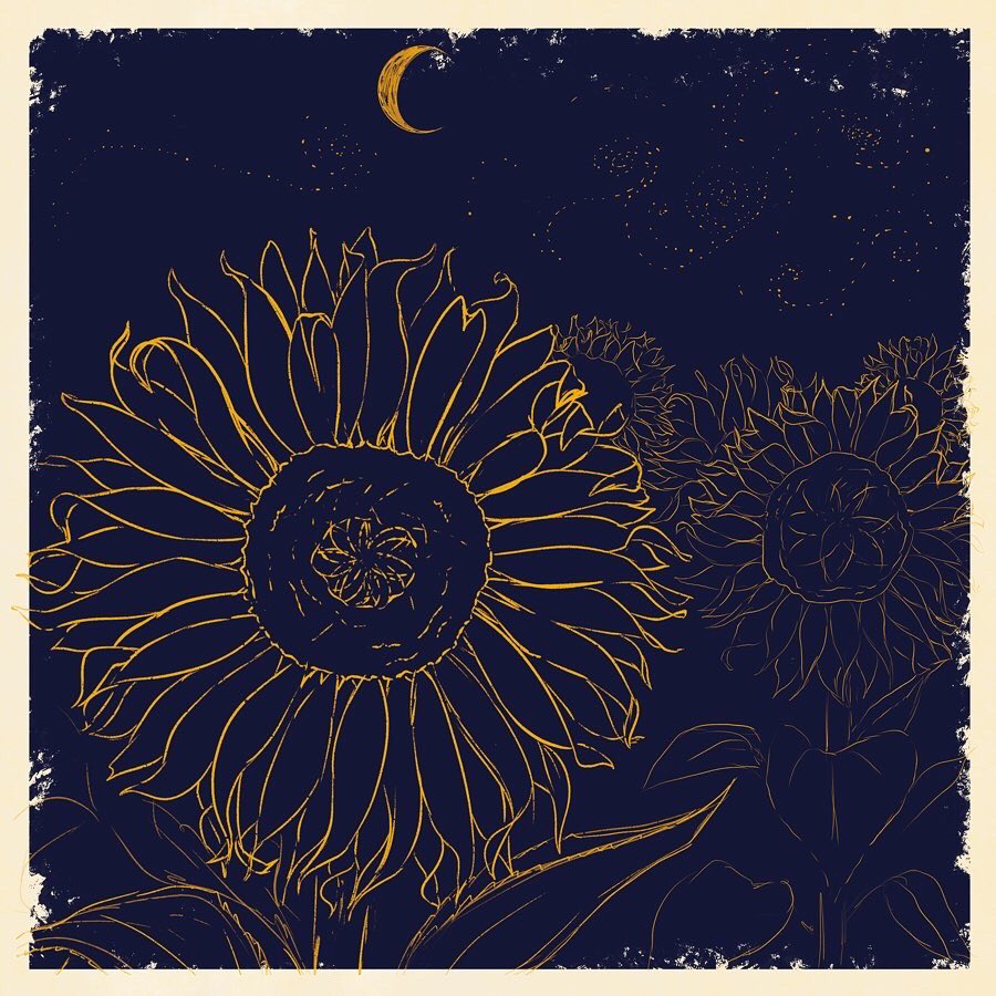 🌙T.J.WO⭐ tweet media