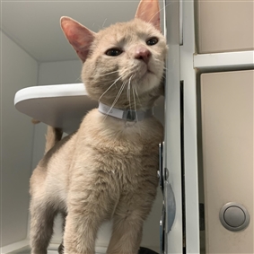 Vernon Davis (@verndavis62) / Posts / X