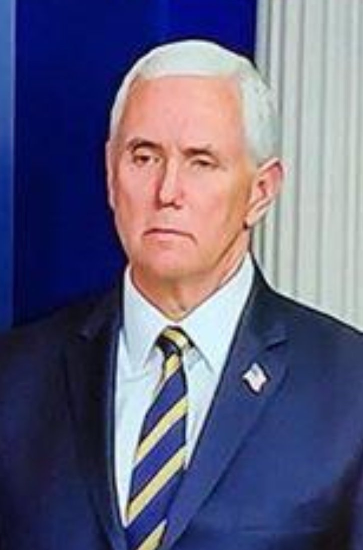 Downloaded tweet media