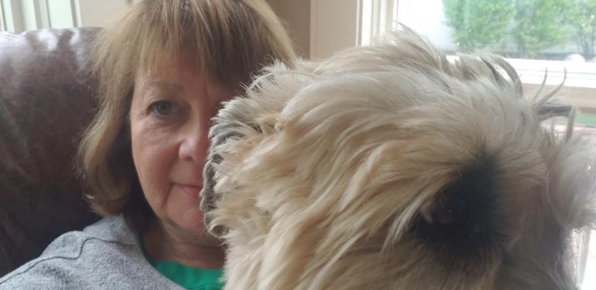 Ann_Ashford's tweet photo. Call time buddies: dogs and laundry. Working hard to get out the vote today with our furry friends! One day to go, let’s win it! #VoteAnn #NE02 https://t.co/slmaYwu36h