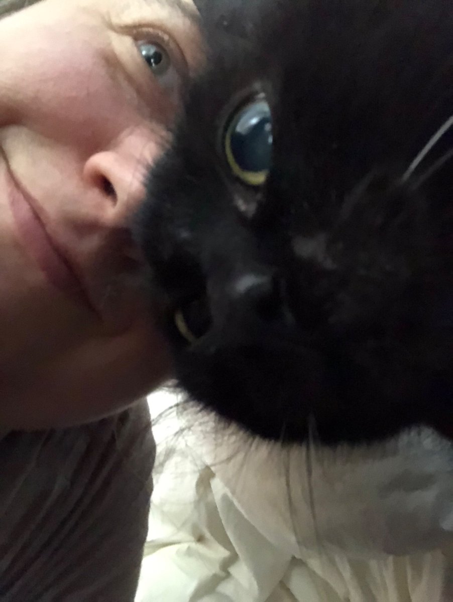 sorsha22's tweet photo. I love my cat 😻 #CatsOfTwitter #Caturday #cats #Katze #katzentwitter #TabbyTroop #Petlander https://t.co/JS3XXXRNyw