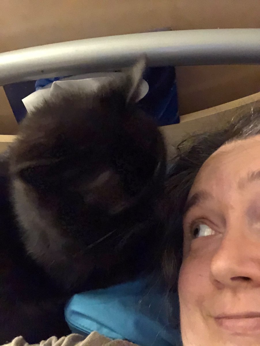 sorsha22's tweet photo. I love my cat 😻 #CatsOfTwitter #Caturday #cats #Katze #katzentwitter #TabbyTroop #Petlander https://t.co/JS3XXXRNyw